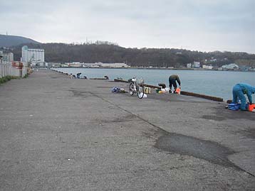 111129_1514ironai.jpg(20989 byte)