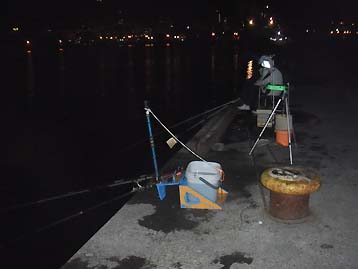 111129_1741turiza.jpg(17112 byte)