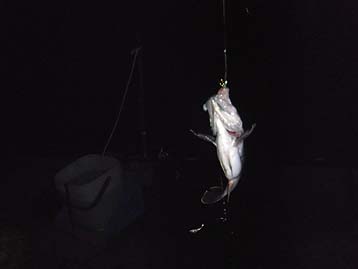 111129_1926soi.jpg(9228 byte)