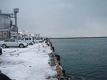 111214_1305hidari.jpg(22414 byte)
