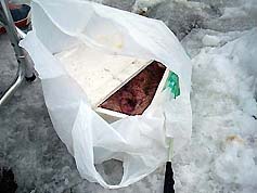 111214_ami.jpg(17488 byte)