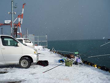 120109_1318hidari.jpg(24461 byte)