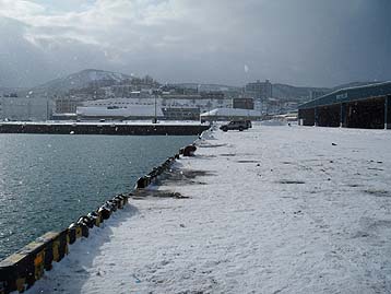 120109_1318migi.jpg(25224 byte)