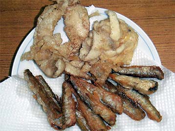 120109_sirako.jpg(34651 byte)