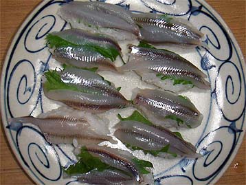 120109_tikasusi.jpg(37376 byte)