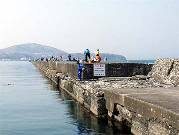 120415_1427minami.jpg(27668 byte)