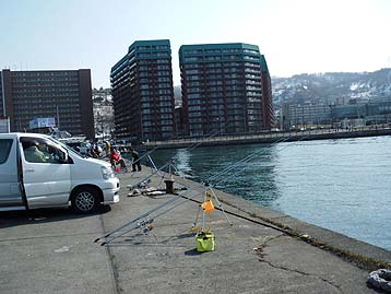 120415_1435wakatake.jpg(29853 byte)