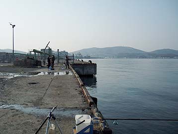 120415_1618hidari.jpg(21194 byte)