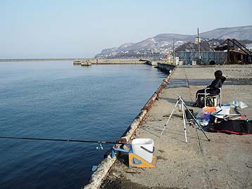 120415_1618migi.jpg(26581 byte)