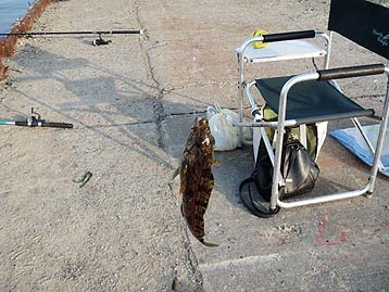 120415_1650abu.jpg(37358 byte)