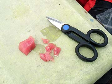 120422_1307maguro.jpg(23570 byte)