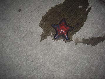 120422_2052hitode.jpg(26639 byte)