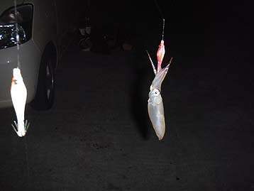 120518_2010mame.jpg(11518 byte)