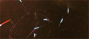 120518_keikou.jpg(14838 byte)