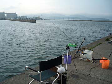 120607_1537wakatake.jpg(26458 byte)