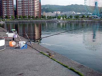 120607_1800wakatake.jpg(31522 byte)