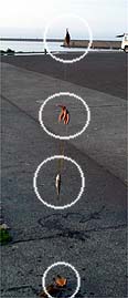 120607_1805nage.jpg(12858 byte)
