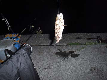 120607_2010soi.jpg(21422 byte)