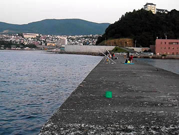 120627_1922migi.jpg(33169 byte)
