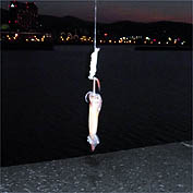 120627_1952ika.jpg(12849 byte)