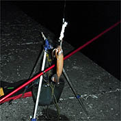 120627_2034ika.jpg(16210 byte)