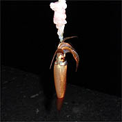 120627_2110ika.jpg(10592 byte)