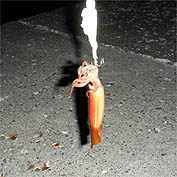 120627_2131ika.jpg(19422 byte)