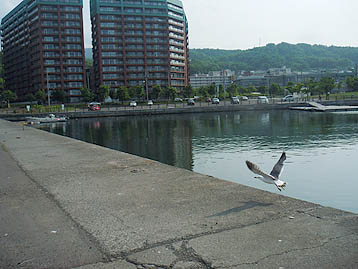 120704_1529gome.jpg(31087 byte)