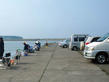 120704_1529wakatake.jpg(24954 byte)