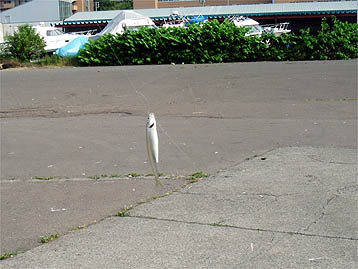 120704_1530tika.jpg(32436 byte)