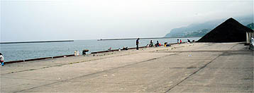 120708_1348ferry.jpg(14742 byte)