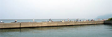 120708_1359konoji.jpg(12964 byte)