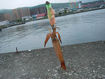 120708_1613pencil.jpg(33814 byte)