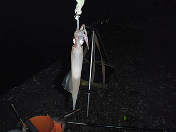 120708_1931yari.jpg(17700 byte)