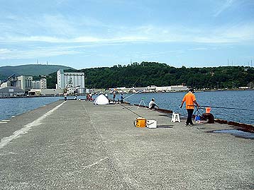 120716_1256hidari.jpg(38101 byte)