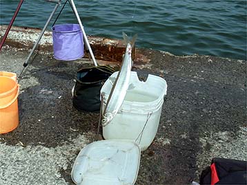 120716_1300sure.jpg(36043 byte)