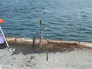 120716_1318yuhaze.jpg(46602 byte)