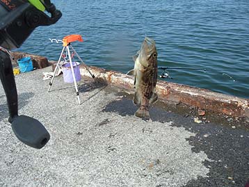 120716_1455soi.jpg(38568 byte)