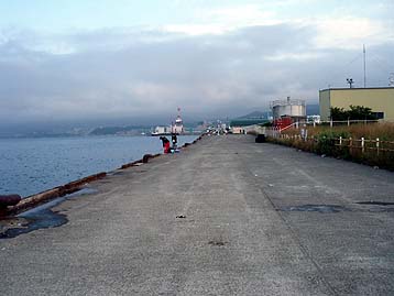 120716_1655ironai.jpg(21469 byte)