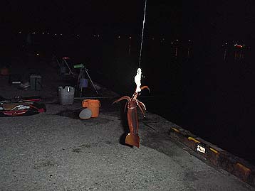 120716_2211maika.jpg(19692 byte)