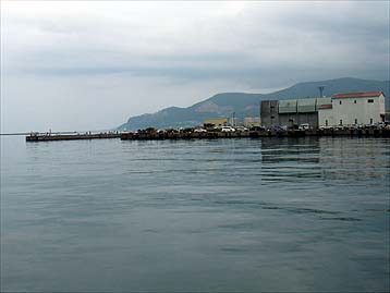 120724_1254konoji.jpg(16663 byte)