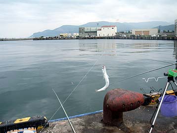 120724_1554katakuti.jpg(23383 byte)