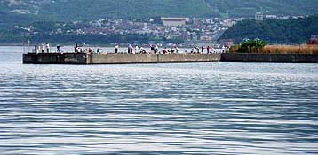120802_1249konoji.jpg(24524 byte)