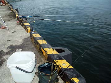 120802_1301turiza.jpg(28112 byte)