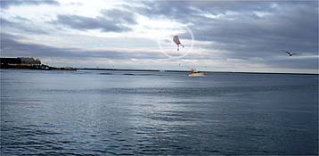120802_1749tako.jpg(16224 byte)