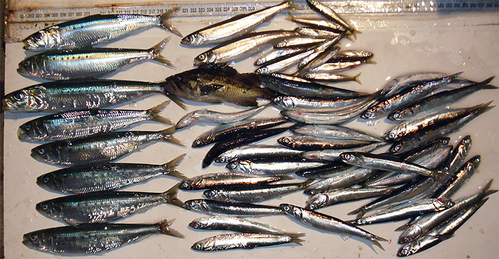 120814.jpg(397743 byte)