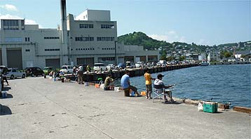 120814_1203kunoji.jpg(22816 byte)