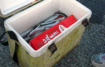 120814_1827kura.jpg(29169 byte)