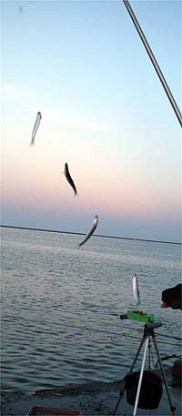 120814_1828ka.jpg(17789 byte)