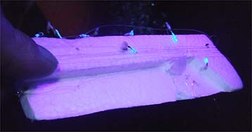 120814_2002keimura.jpg(13039 byte)